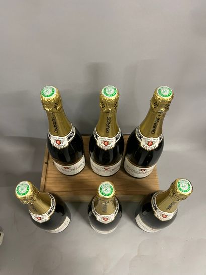 6 bottles CHAMPAGNE 