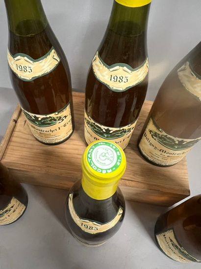 6 bottles PULIGNY-MONTRACHET 