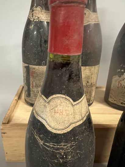 5 bouteilles GEVREY-CHAMBERTIN 