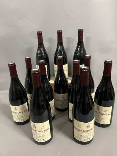 12 bottles HAUTES-COTES-DE-BEAUNE Grivelet...