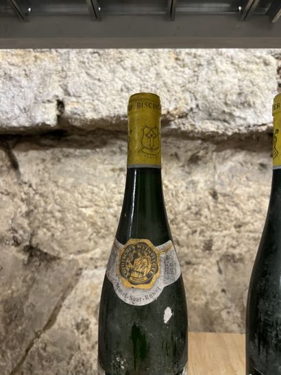 2 bottles GERMAN WINES Wiltinger Kupp, Bischofliches...
