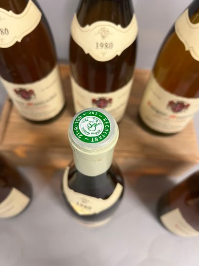 6 bouteilles PULIGNY-MONTRACHET 
