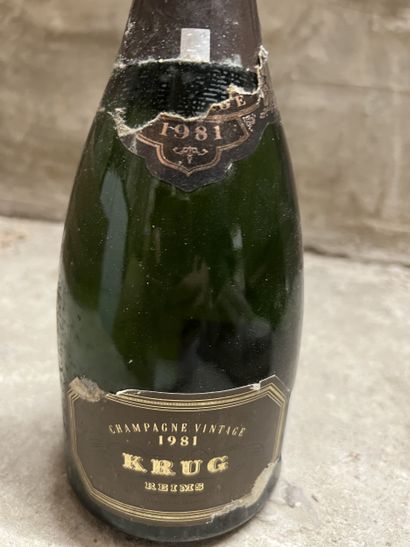 1 bottle vintage CHAMPAGNE, Krug 1981 (ea,...
