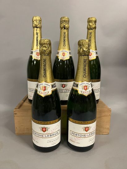 5 bottles CHAMPAGNE 