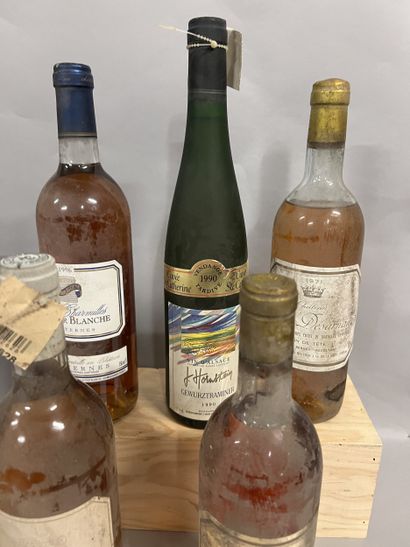 5 bottles BLANCS DIVERS (1 Blanc de Lynch-Bages...