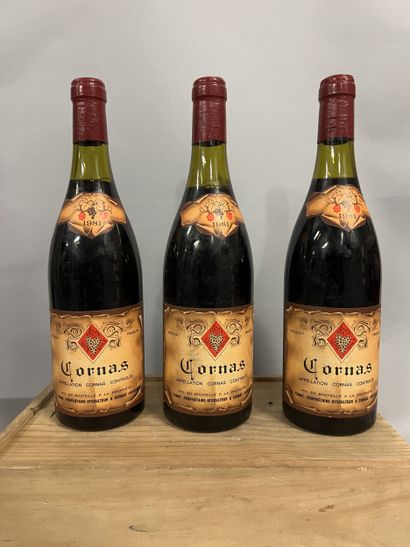 3 bottles CORNAS A. Fumat 1981 (TLB)