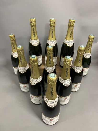 11 bottles CHAMPAGNE Pertois-Lebrun (Cra...