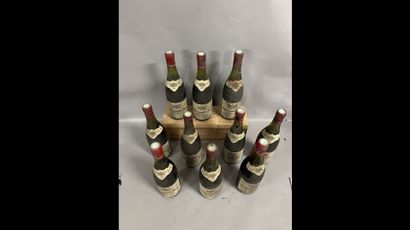 10 bottles CHATEAUNEUF-DU-PAPE 
