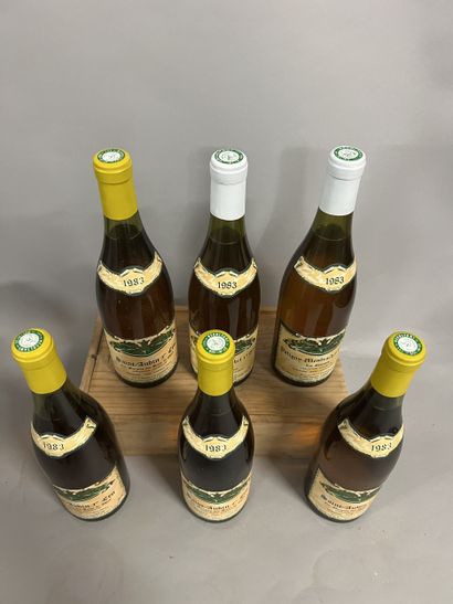 6 bottles SAINT-AUBIN 