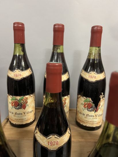 10 bottles COTE DE NUITS VILLAGES, Lippé-Régnier...