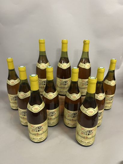 11 bottles PERNAND-VERGELESSES Pavelot 1983...