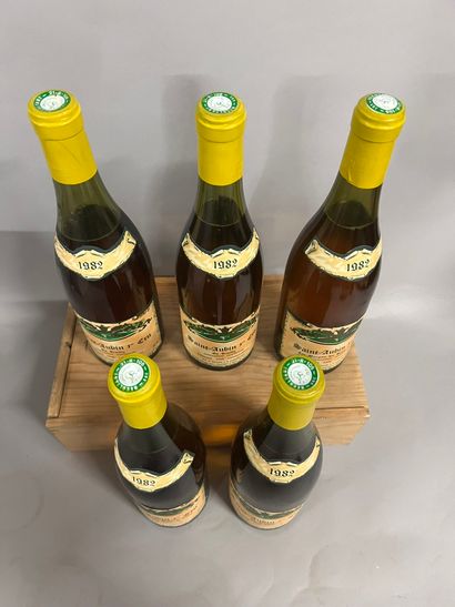 5 bottles SAINT-AUBIN 