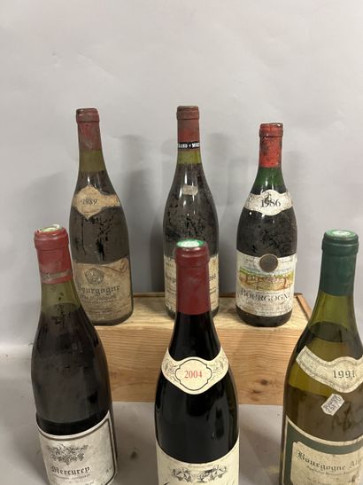 6 bottles BOURGOGNE DIVERS (1 Henri Montagny...
