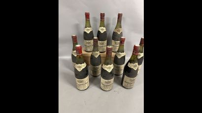 10 bottles CHATEAUNEUF-DU-PAPE 