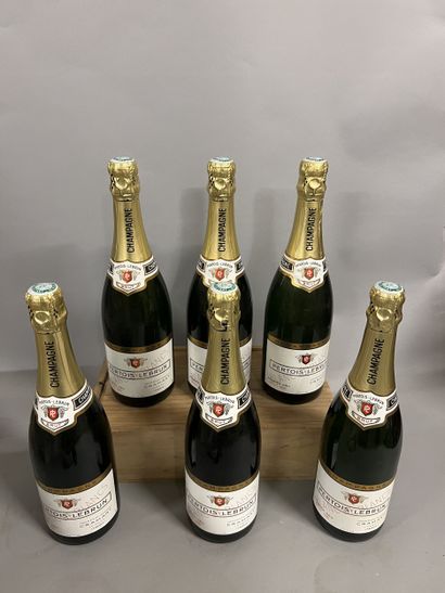 6 bottles CHAMPAGNE 