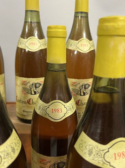 12 bottles CORTON CHARLEMAGNE, Pavelot 1983...