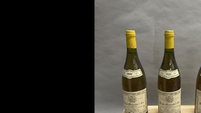 3 bottles PULIGNY-MONTRACHET 