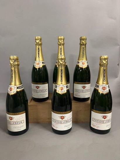 6 bottles CHAMPAGNE 