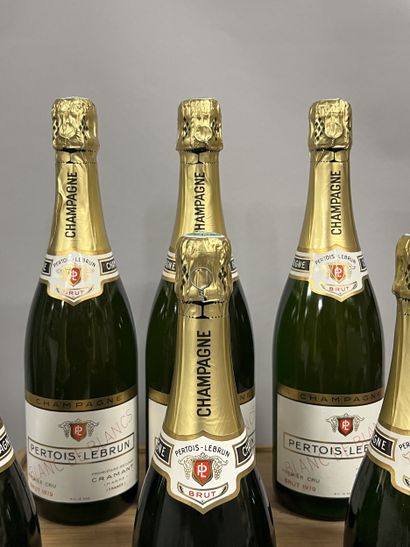6 bottles CHAMPAGNE 