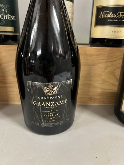 6 bottles CHAMPAGNE DIVERS (1 Bouble-Hadot...