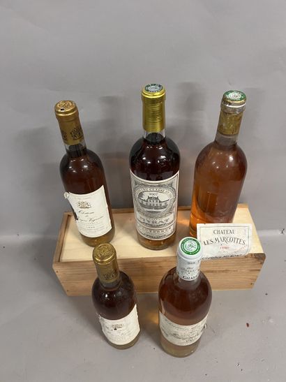 5 bottles BORDEAUX DIVERS, (2 half-litres...