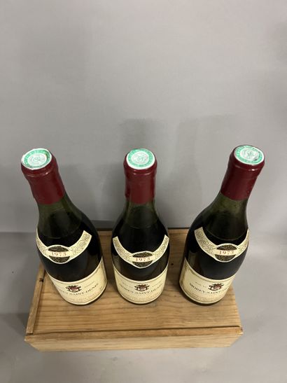 3 bottles MOREY-SAINT-DENIS L. Rémy 1973...