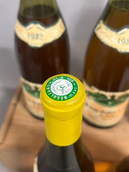 5 bottles SAINT-AUBIN 