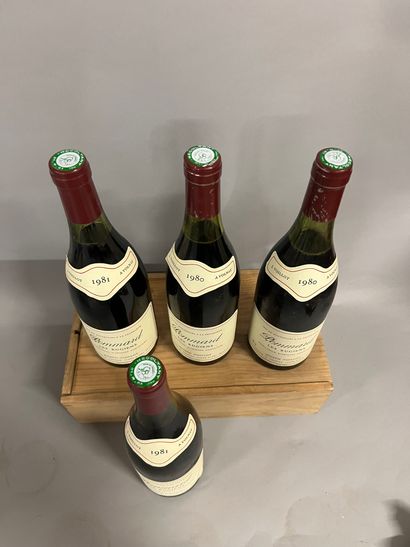 6 bouteilles PULIGNY-MONTRACHET 