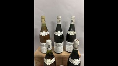 9 bottles PULIGNY-MONTRACHET 