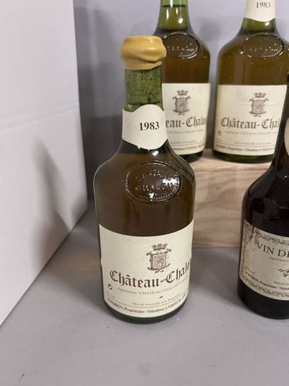 5 bottles CHATEAU-CHALON, M. Perron 1983...