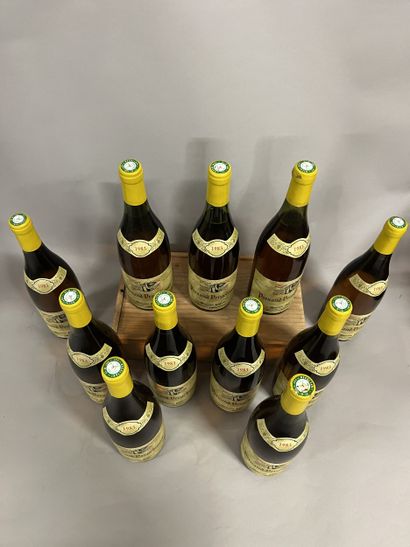 11 bottles PERNAND-VERGELESSES Pavelot 1983...