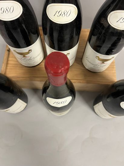 6 bottles GRANDS-ECHEZEAUX, Gros F&S 1980...