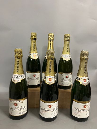 6 bottles CHAMPAGNE 