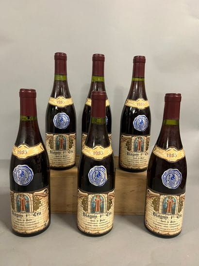 6 bouteilles BLAGNY 