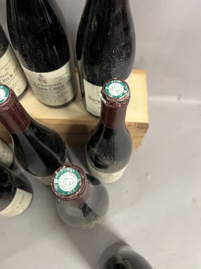 10 bottles HAUTES-COTES-DE-NUITS Grivelet...