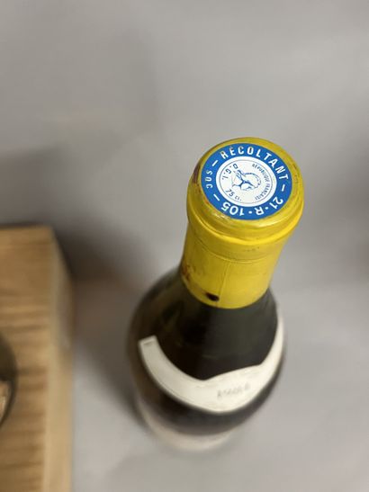 9 bottles BOURGOGNE aligoté, (7 Bouton 1986,...