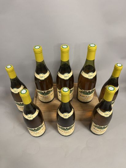 8 bottles SAINT-AUBIN 