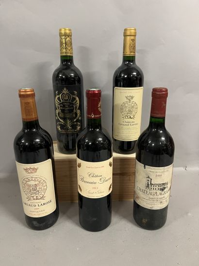 5 bottles SAINT-JULIEN DIVERS, (2 Ch. Gruaud...
