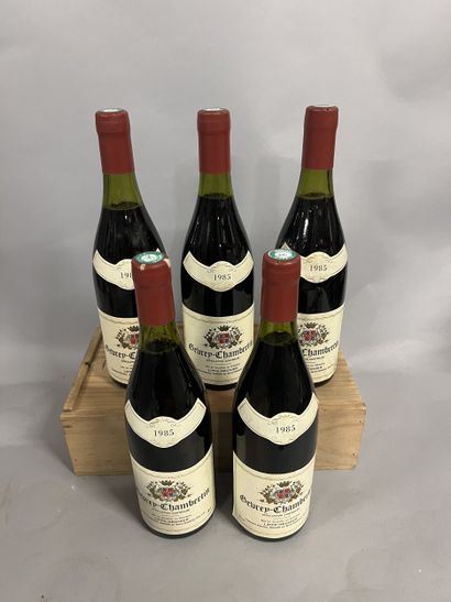 5 bouteilles GEVREY-CHAMBERTIN Lippé-Régnier...