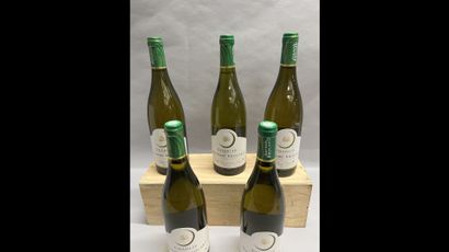 5 bottles CHABLIS 