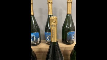 6 bottles CHAMPAGNE 