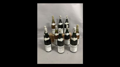 9 bottles PULIGNY-MONTRACHET 