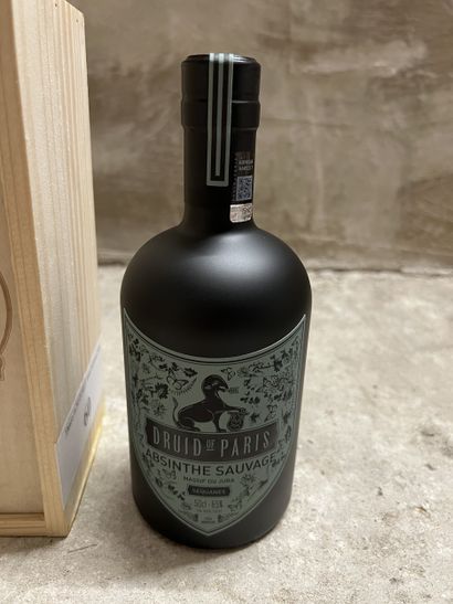 1 bottle ABSINTHE 