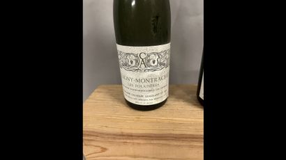 2 bottles PULIGNY-MONTRACHET 