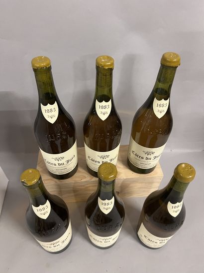6 bottles COTES DU JURA Savagnin, M. Perron...