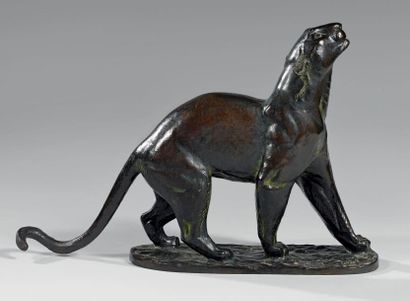 Georges GUYOT (1885 - 1973)
Panthère noire...
