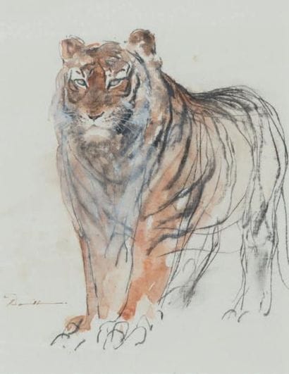 ECOLE FRANCAISE
Tigre. Fusain, gouache et...