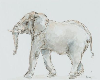 ECOLE FRANCAISE
Éléphant. Encre de Chine...