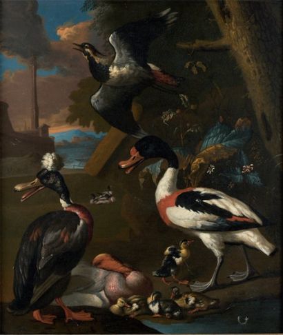 Adriaen van OOLEN (Actif de 1650 à après...