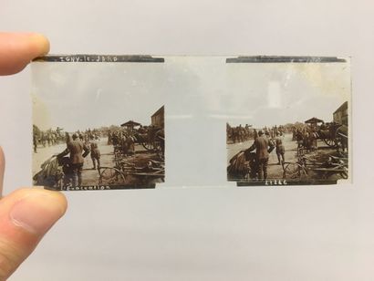 31 plaques de verre concernant la Guerre...